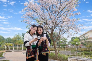 Điện Biên: Final countdown to Ban (Bauhinia) Flower Festival