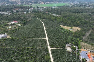 Blooming season of strategic crops