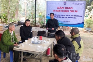 Điện Biên pays due attention to developing collective economy