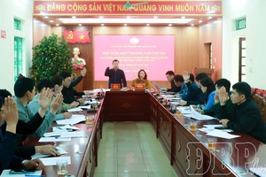 Democratic consultation: The quality filter for quality of deputies