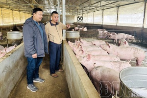 Spreading “Three dares” spirit in following President Hồ Chí Minh’s examples