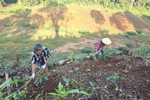 A strategic leap in scale