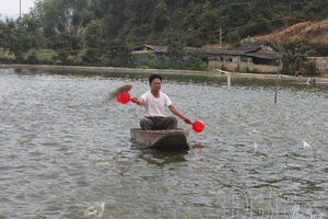 'Developing Party members in rural areas of Thanh Yên