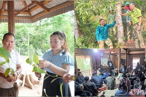 'Greening barren slopes