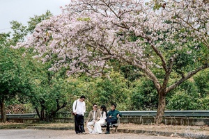 Telling Điện Biên through digital eyes