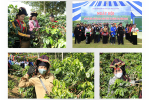 '“Brown gold” awakens in frontier