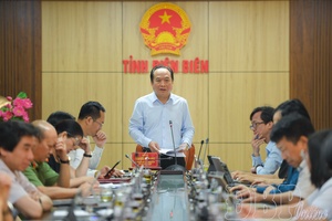 Điện Biên reviews organization of 2026 Ban (Bauhinia) Flower Festival