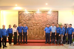 Imprints of Điện Biên youths’ projects