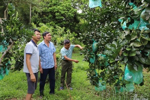 Thanh Nưa strives to reach new-style rural standards