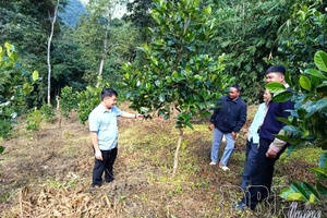 Proactively implementing National Target Programs