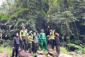 Promoting role of grassroots-level government in forest management and protection