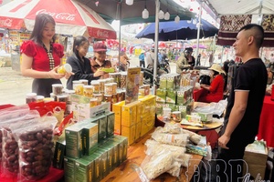 Điện Biên further promotes OCOP products