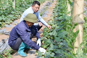 'Overcoming shortage of water for production in Nậm Kè