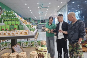 One Commune One Product program: How to elevate quality?