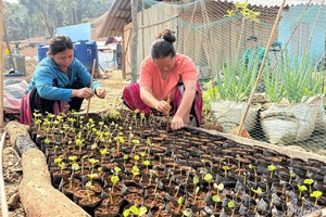 Expectations for low-altitude spatial economic development model