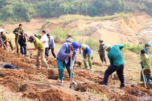 “Words matching actions” - Immediate momentum from start of term