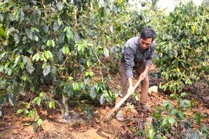 Điện Biên brings 14th National Party Congress Resolution into life