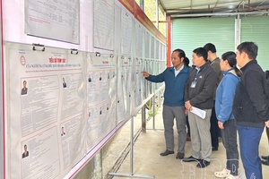 Promoting role of VFF in election process