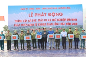 Điện Biên simultaneously launches coffee and macadamia planting campaign