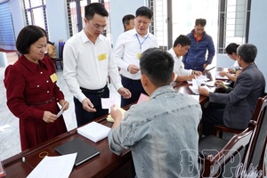 Seconded officials as bridge for more effective two-tier governance