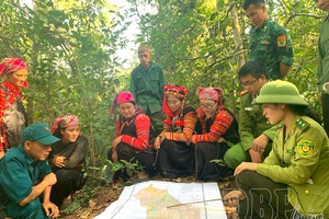 'Proactively preventing and fighting forest fires during dry season