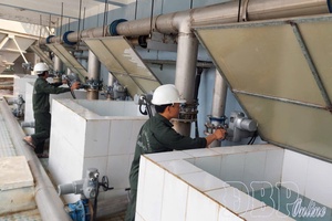 Creating momentum for state economic sector