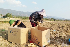 Profits rise, challenges persist