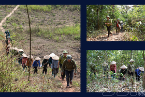 Holding line against wildfires during peak dry season