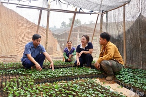 Promoting “three dares” spirit in studying and following President Hồ Chí Minh