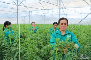 Green and sustainable agriculture: A strategic vision for Điện Biên