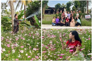 Every road - Myriad flowers