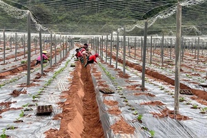 Preserving land through innovation