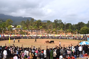 Leveraging cultural tourism potential