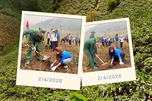 Coffee greens: A catalyst for highland transformation