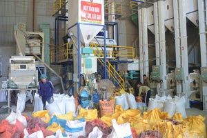 Expanding horizon for private sector development in Điện Biên