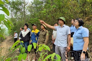 Unlocking bottlenecks in forest environmental services payments