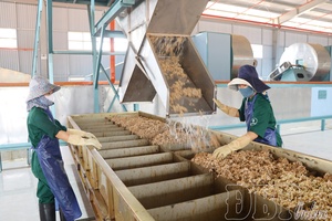 Unlocking resources to drive private sector development