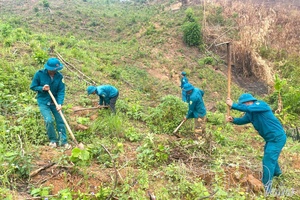'Điện Biên militia force: Rooted in villages, supporting local people