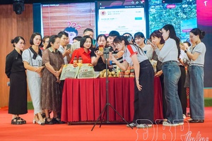 Helping businesses and households quickly access digital environement