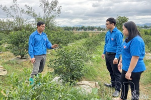 Điện Biên actively supports young people to start businesses