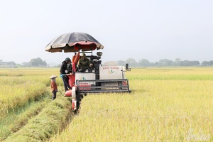 Điện Biên on new path of development