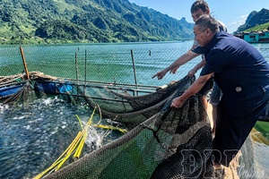Resolving “bottlenecks” in aquaculture development