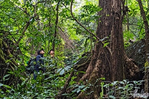 Nurturing the green of Mường Nhé wilderness