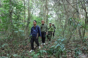 Effective implementation of community conventions to preserve forests