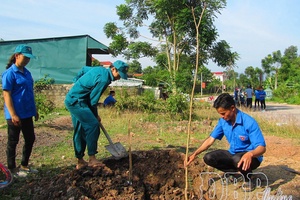 Scattered tree planting and forest resource development