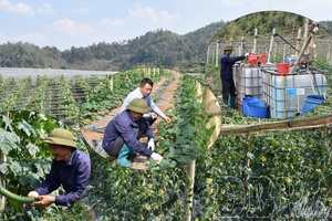 Mechanization - Economic lever for rural areas