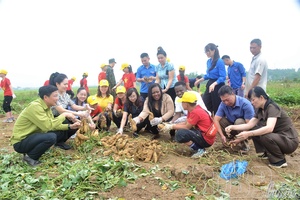 Resolutions “take root” at grassroots level