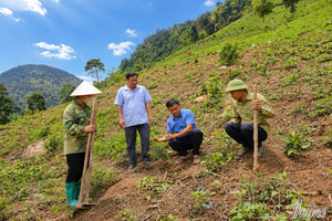 Remembering Uncle Hồ in May