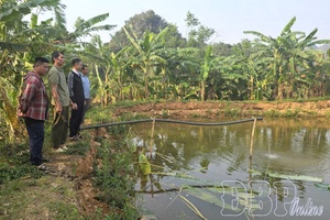 Studying and following Uncle Hồ’s teachings through practical actions