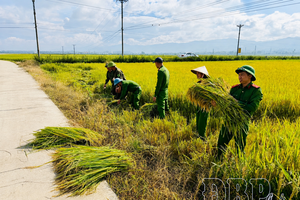 'Following Uncle Hồ’s teachings through practical actions